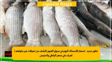 تطور جديد.. أسعار الأسماك اليوم في سوق العبور تكشف عن تحولات غير متوقعة تعرف على سعر البلطي والدنيس 1